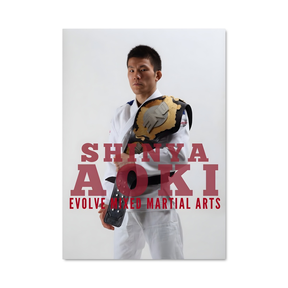 Poster Aoki Evolution – affiche MMA